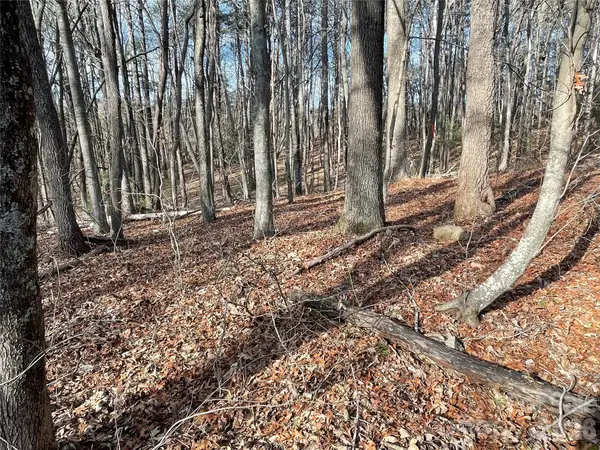 220 Max Metcalf Road, Swannanoa, NC 28778