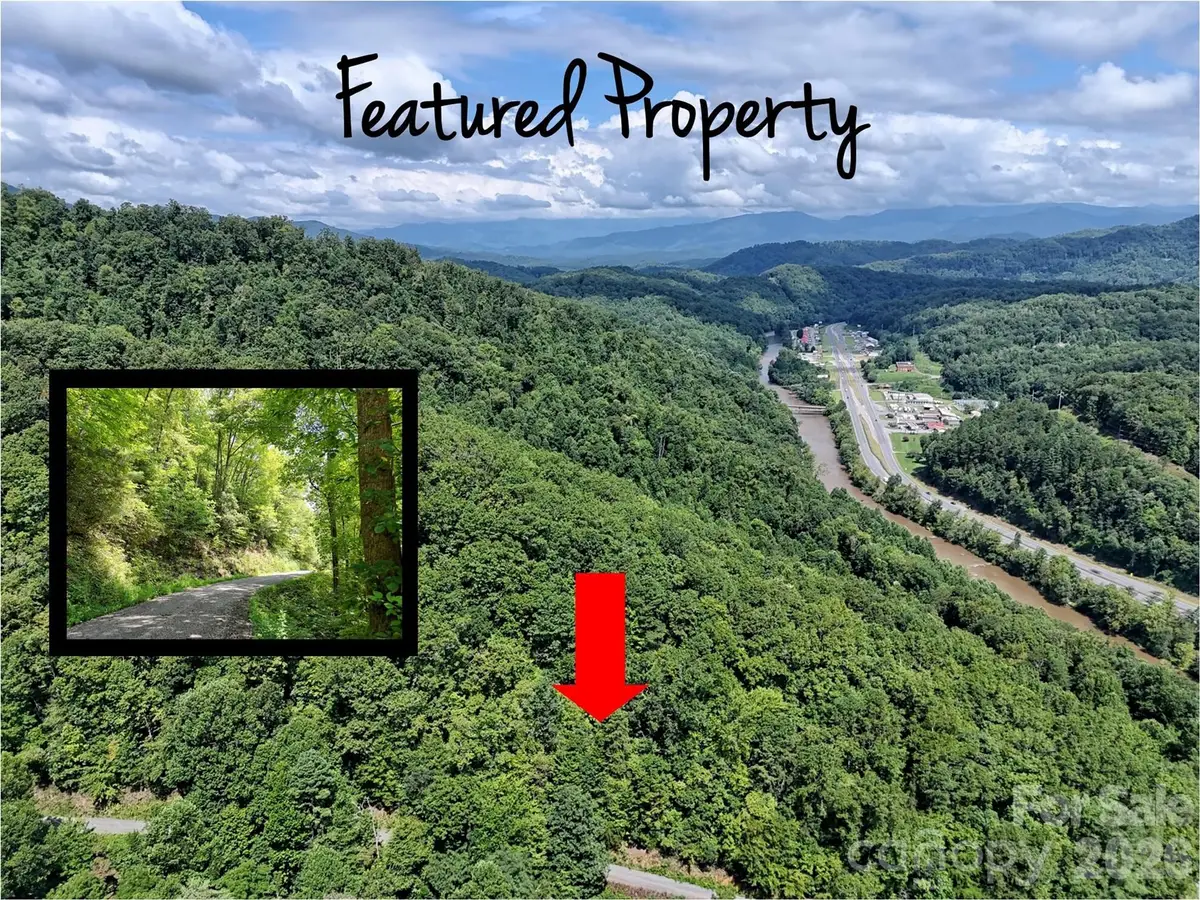 Lot 2 Blue Mist Trail, Whittier, NC 28789 - #1