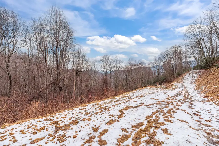 391 Valley View Drive, Maggie Valley, NC 28751 - Image #2