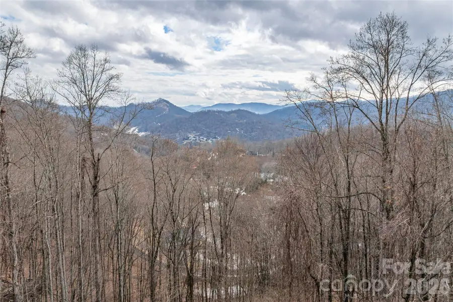 Lot 4 Mountain Watch Drive, Waynesville, NC 28785 - #2