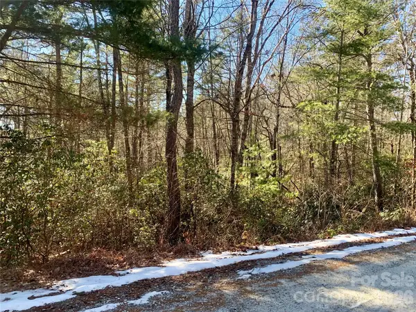 Lot 18 Oak Ridge Drive #18, Brevard, NC 28712