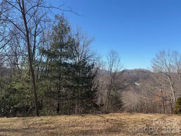 LT 42 Beechfern Drive #42, Glenville, NC 28736