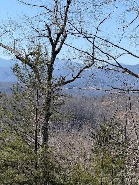 000 Dobson Knob Loop Road, Marion, NC 28752