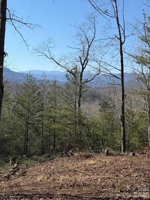 000 Dobson Knob Loop Road, Marion, NC 28752 - #2