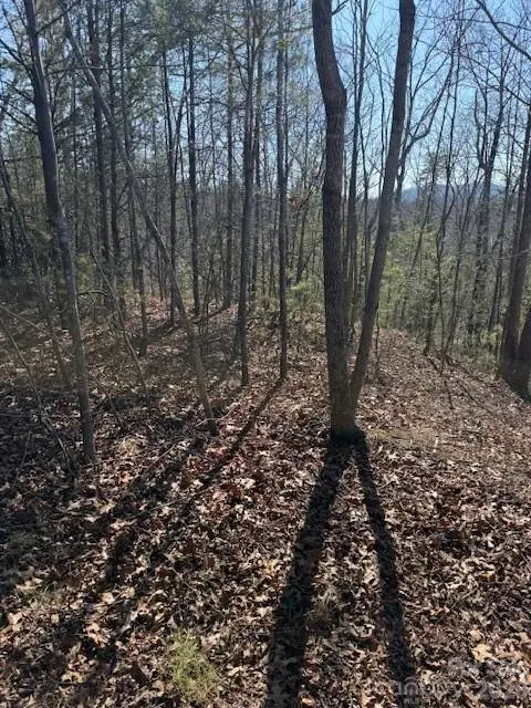 000 Dobson Knob Loop Road, Marion, NC 28752 - #3