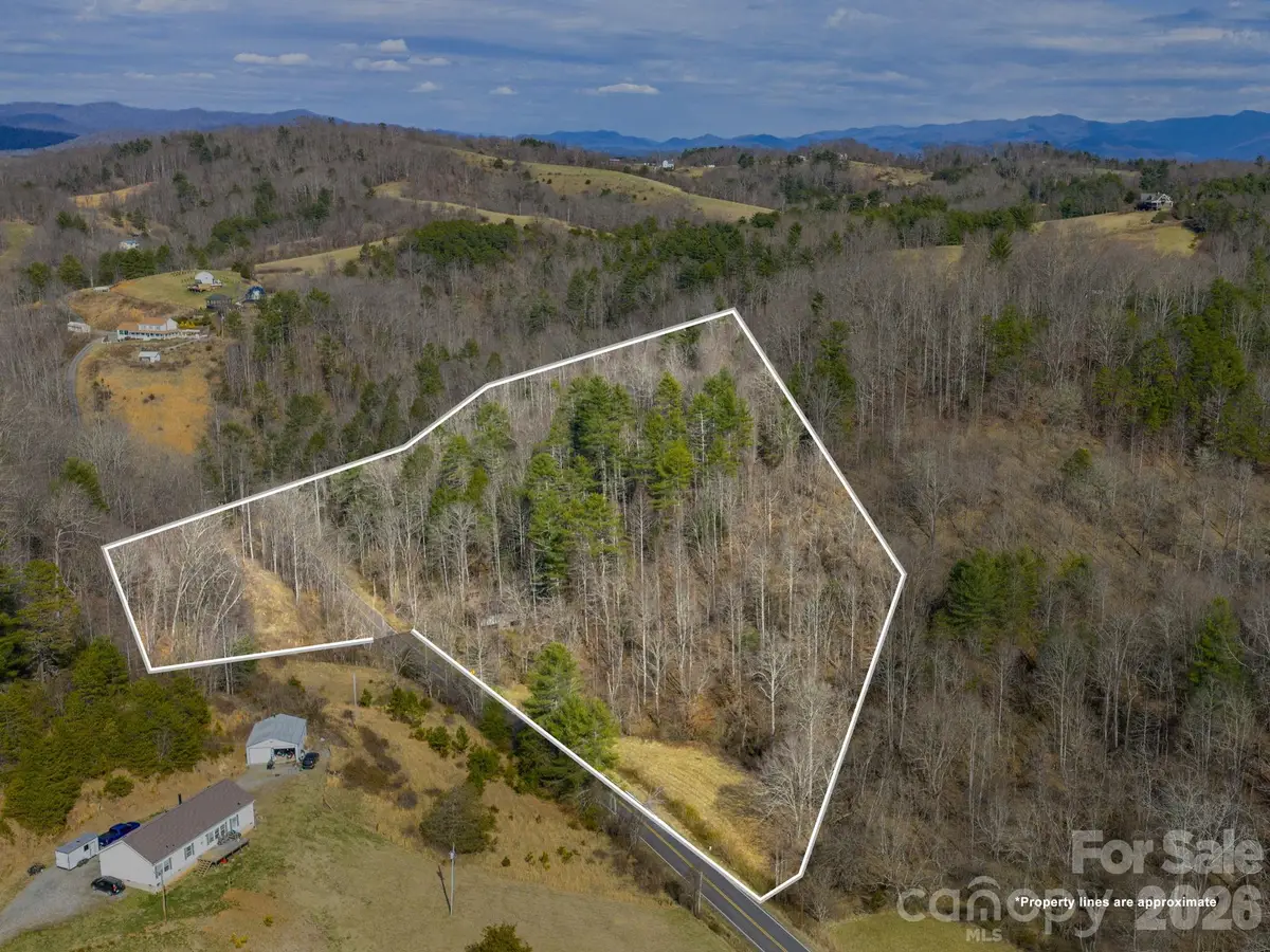 99999 Baileys Branch Road, Marshall, NC 28753 - #1