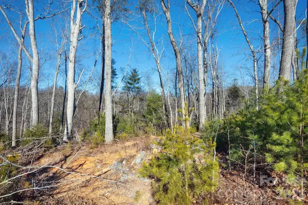 136 Riverbend Forest Drive #21, Asheville, NC 28805