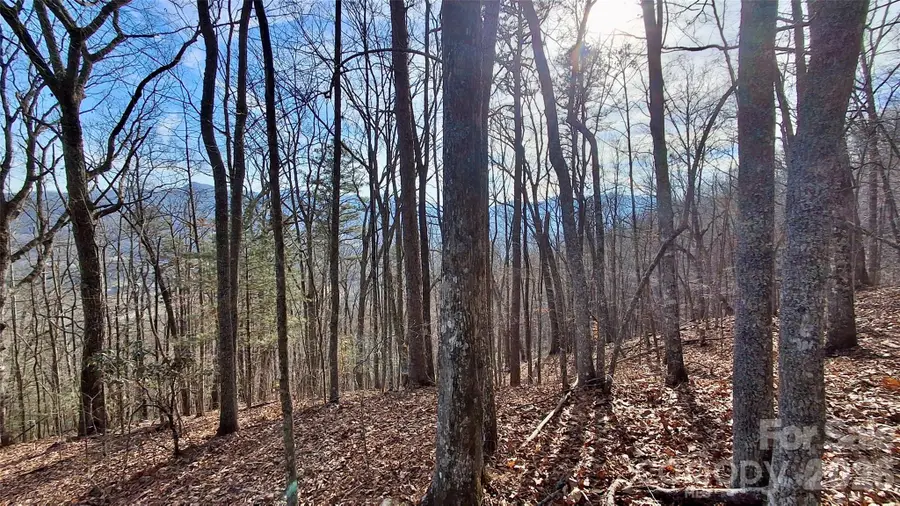 0 Briarwood Road, Webster, NC 28788 - #2