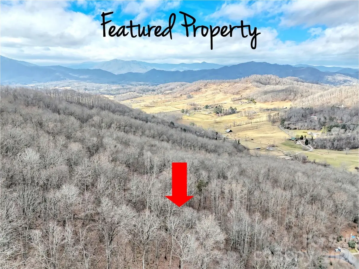Lot 4D Pelican Place, Waynesville, NC 28786 - #1