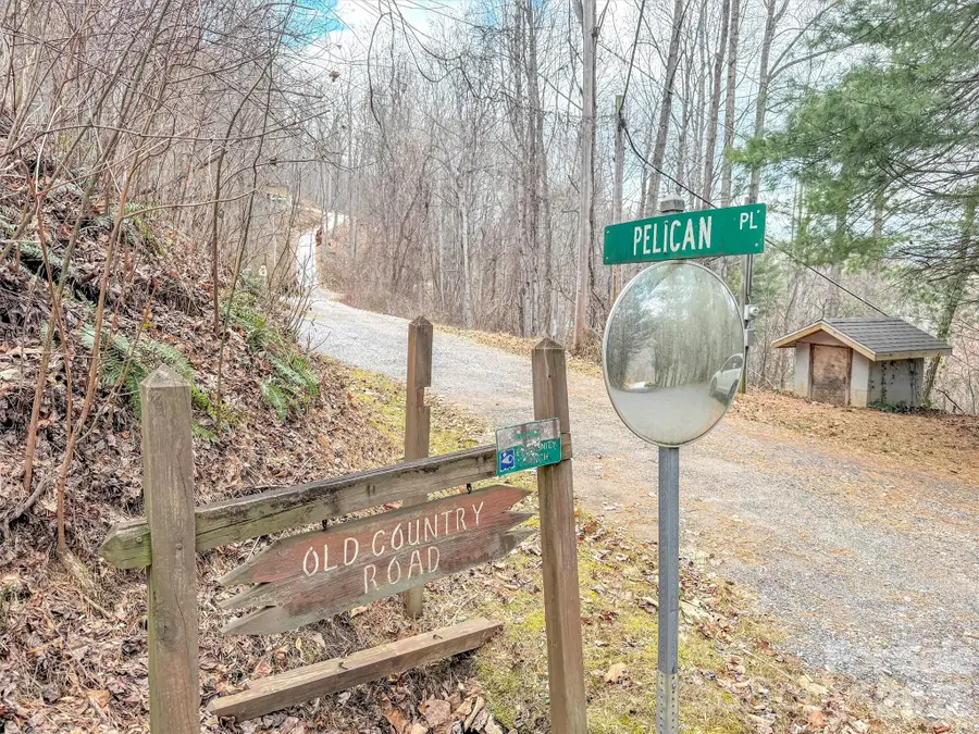 Lot 4D Pelican Place, Waynesville, NC 28786 - #3