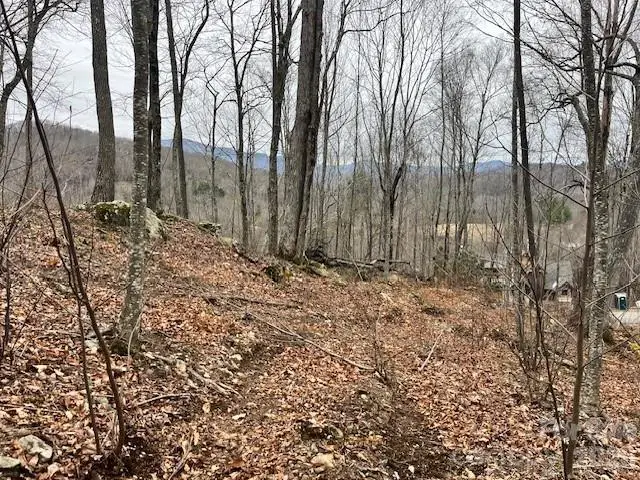 C-114 Spring Water Lane, Banner Elk, NC 28604 - #1