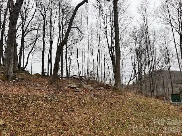 C-114 Spring Water Lane, Banner Elk, NC 28604 - #2