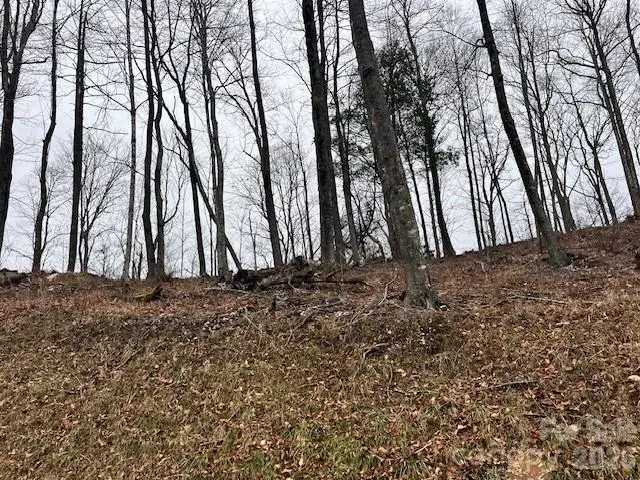 C-114 Spring Water Lane, Banner Elk, NC 28604 - #3