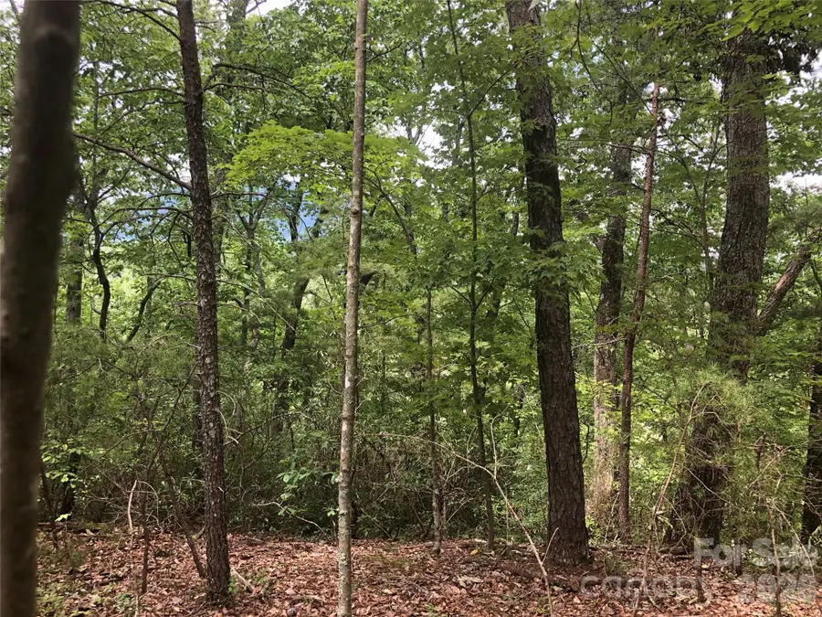 0 Buffalo Creek Road #Lot 35, Lake Lure, NC 28746 - #2