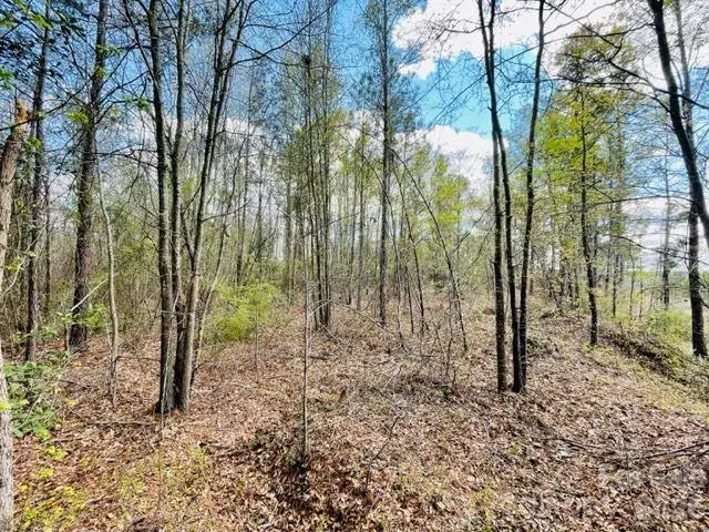 0000 Hwy 1 Bypass, Cheraw, SC 29520 - #1