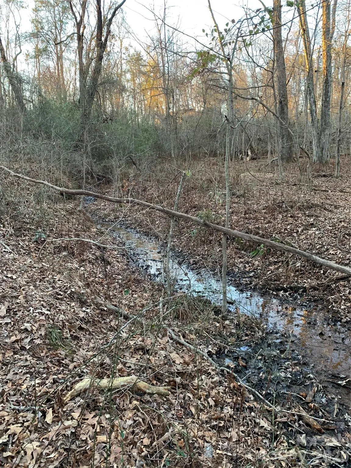 2483 Lee Bess Road, Cherryville, NC 28021 - #1