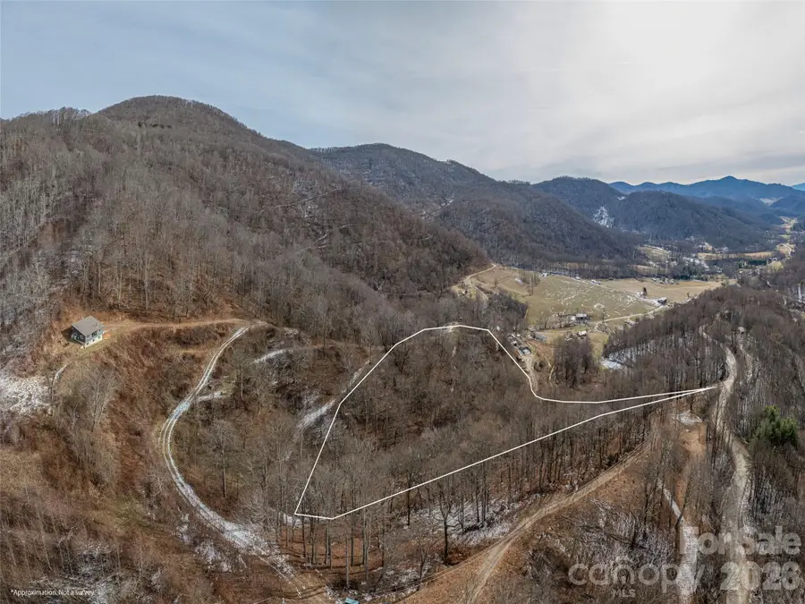 00 Max Patch Road, Clyde, NC 28721 - #3