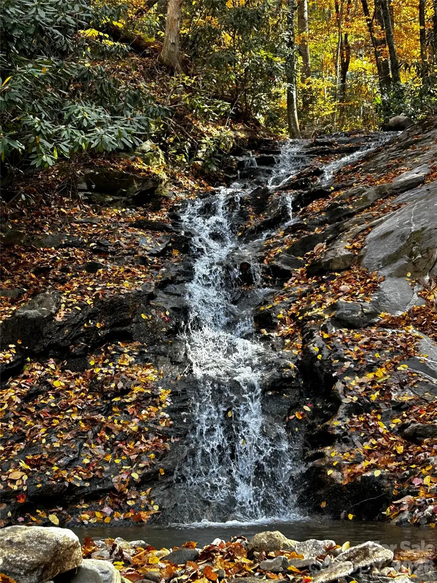 119 Wildflower Cove Drive, Swannanoa, NC 28778 - #3