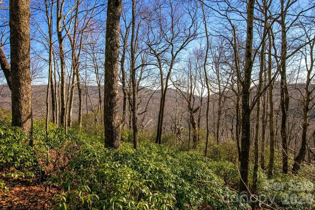 TBD Oak Ridge Road #17, Rosman, NC 28772 - #1