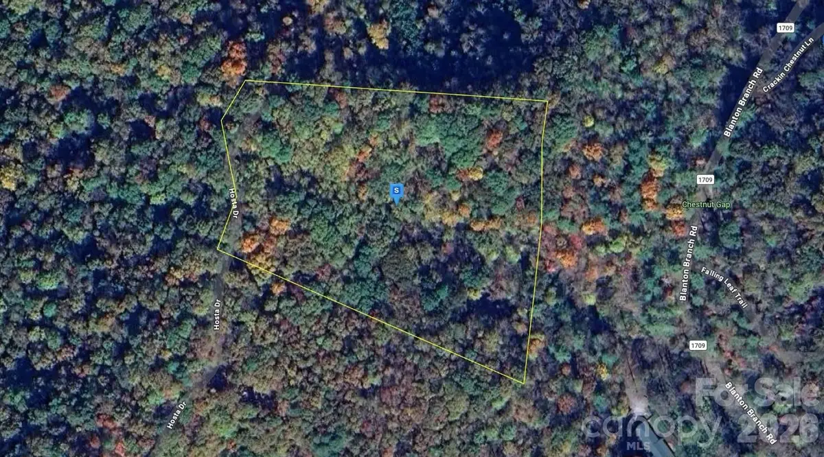 98 Hosta Drive, Sylva, NC 28779 - #1