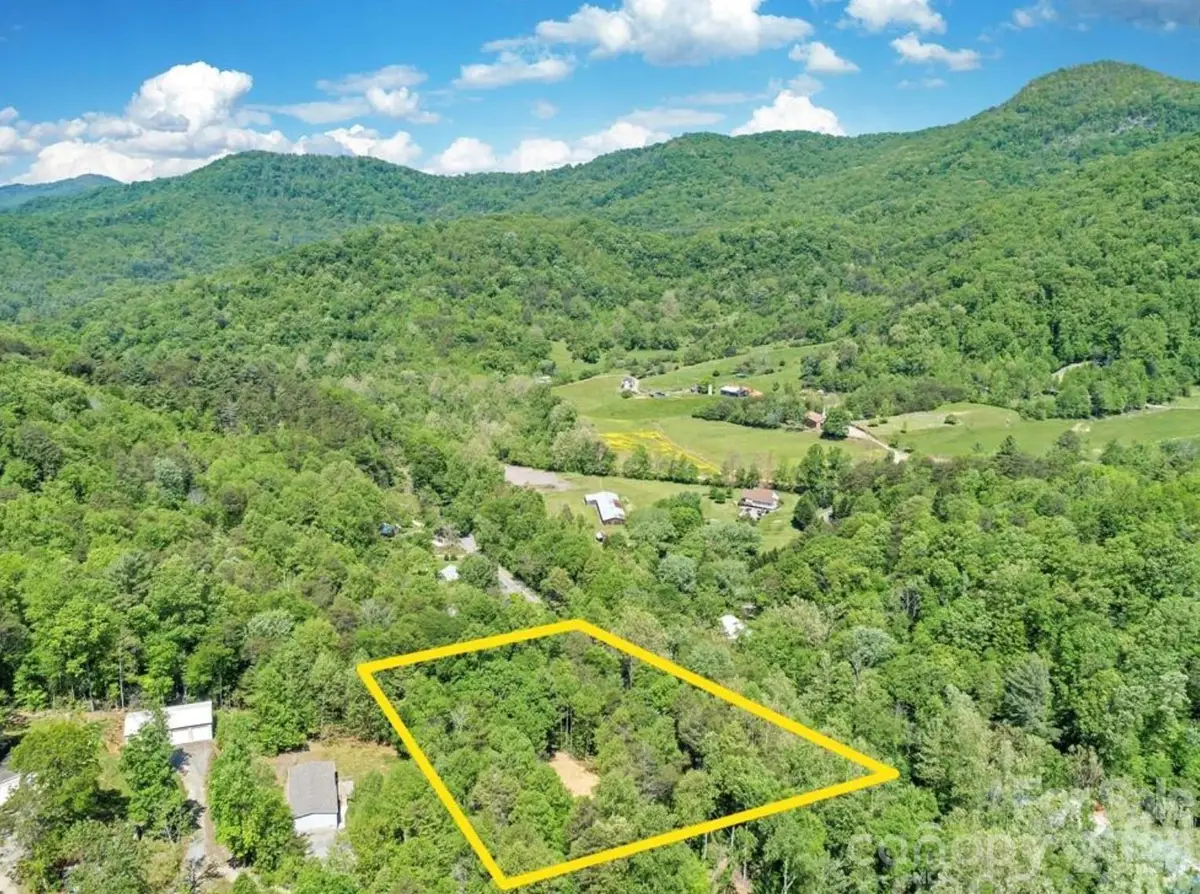 1127 Bee Tree Road, Swannanoa, NC 28778 - #1