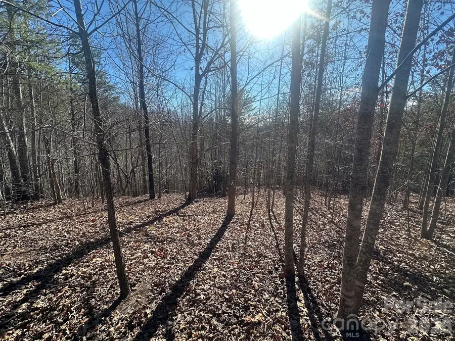 127 Robinwood Trail, Bostic, NC 28018 - #2