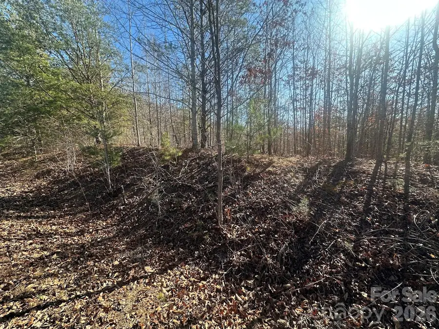 127 Robinwood Trail, Bostic, NC 28018 - #3