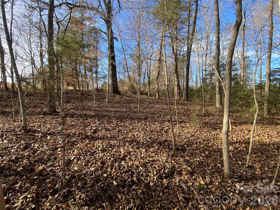 0 Us Hwy 64/74a Highway, Rutherfordton, NC 28139 - #2