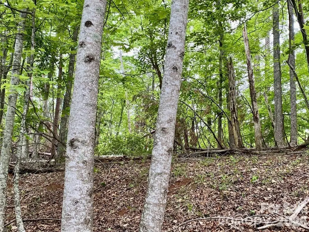 Lot 30 Granny Smith Lane, Lake Lure, NC 28746 - #1