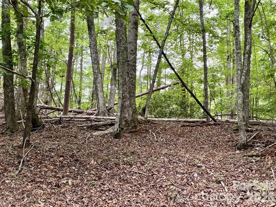 Lot 30 Granny Smith Lane, Lake Lure, NC 28746 - #3