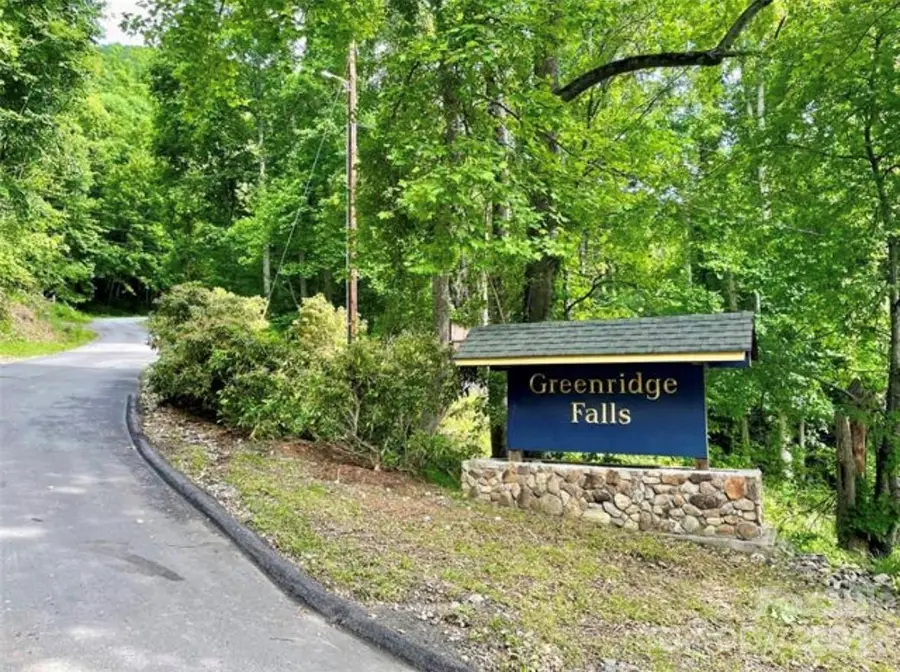31 Reillys Bluff Road #2, Barnardsville, NC 28709 - #3