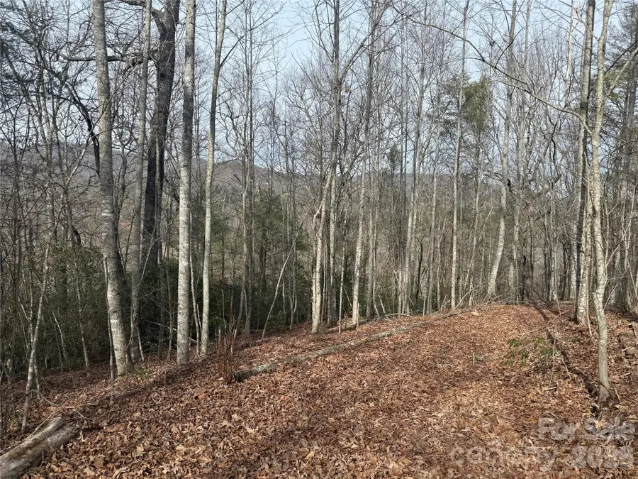 Lot 10, 11 River Run Run, Franklin, NC 28734 - #2
