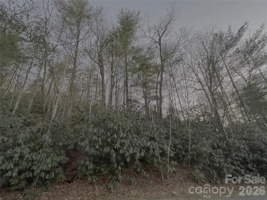 742 Zelda Court #71, Hendersonville, NC 28792 - #2