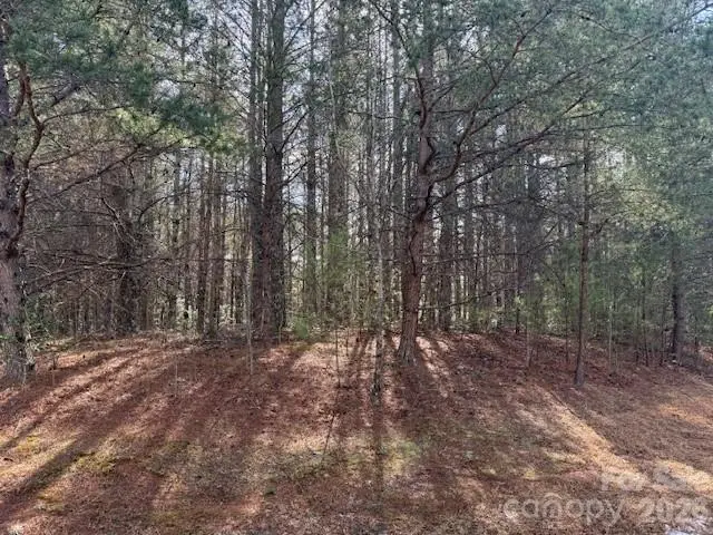 1386 Southpointe Drive, Morganton, NC 28655 - #2