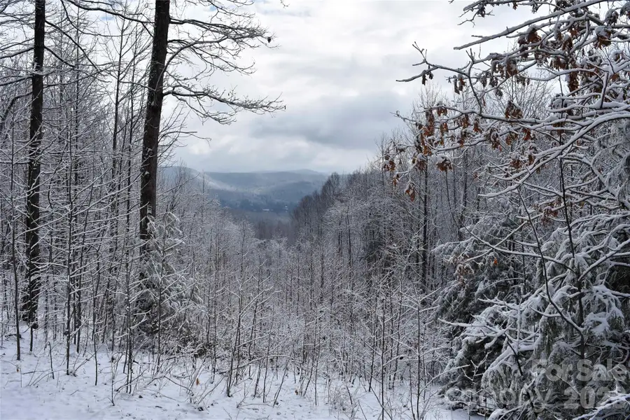 0000 Pinnacle Mountain Road #Lots 1,2,3,4, Zirconia, NC 28790 - #3