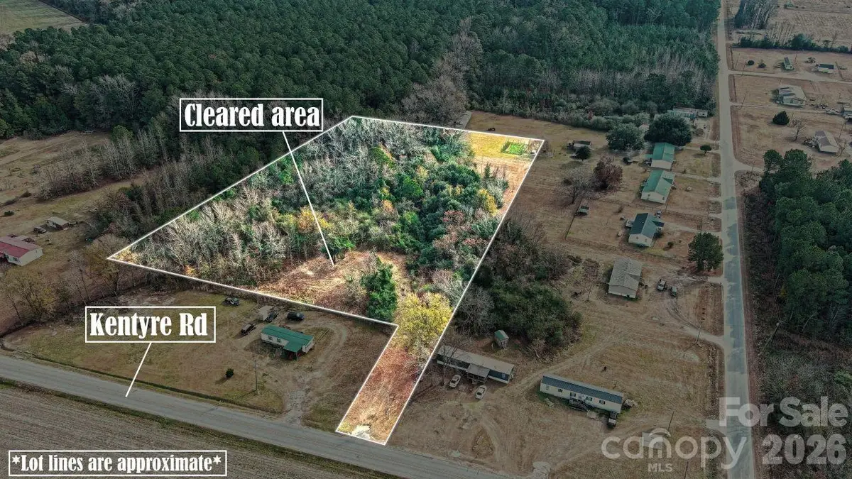 3608 Kentyre Road, Hamer, SC 29547 - #1