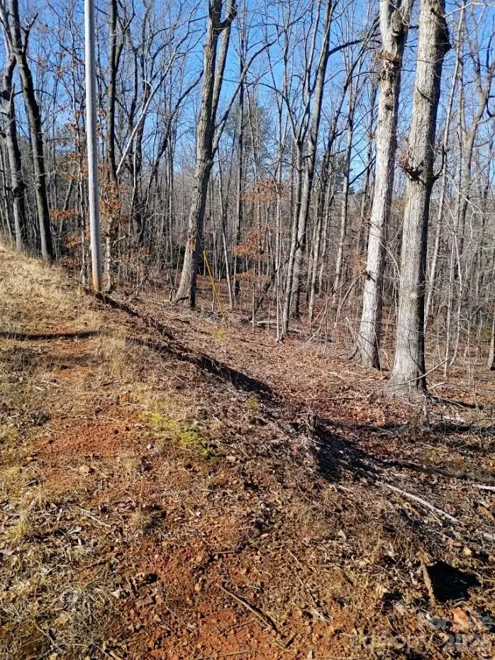 00 County Line Road S, Rutherfordton, NC 28139 - #2