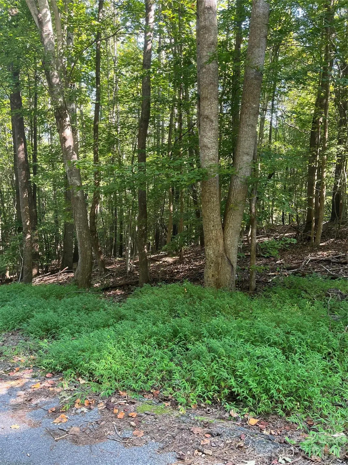 0 Lakeside Drive, Union, SC 29379 - #1