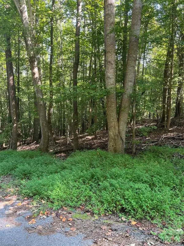 0 Lakeside Drive, Union, SC 29379