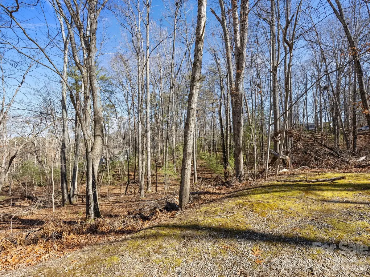 Lot 7 Mountain Heritage Place, Candler, NC 28715 - #1