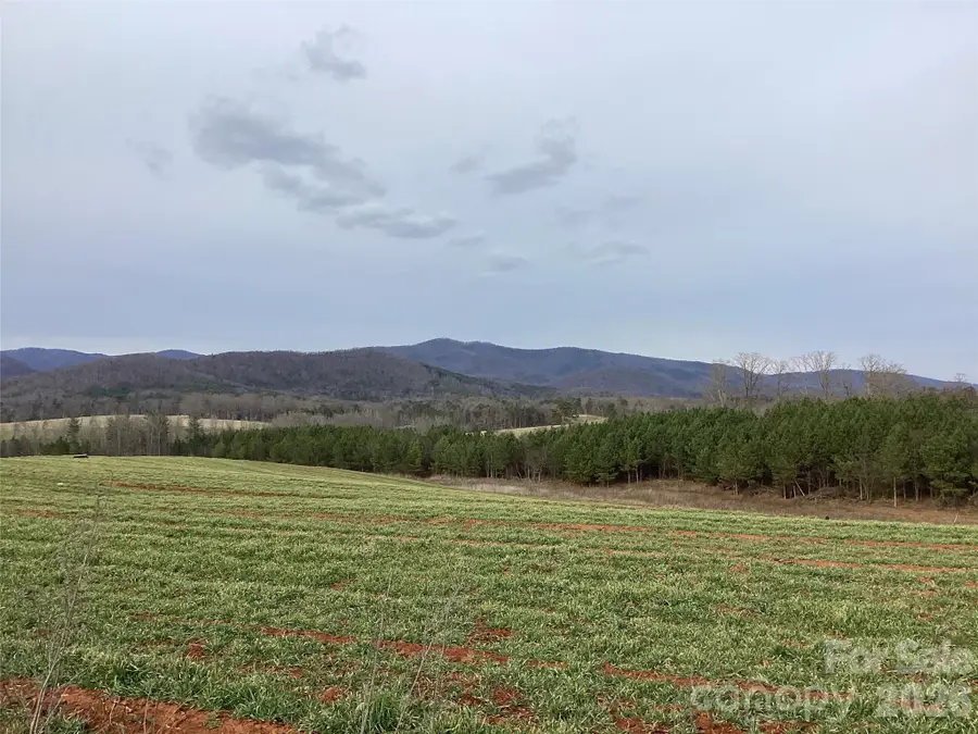 600 Moriah School Road, Casar, NC 28020 - #3