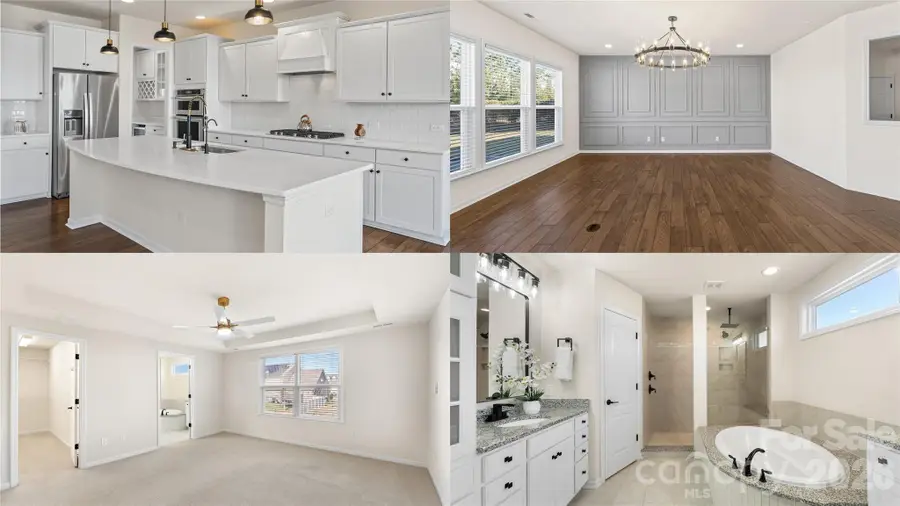 16008 Weeping Valley Drive, Fort Mill, SC 29715 - #2