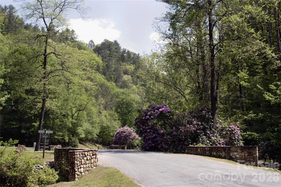 0 Big Sky Road, Ferguson, NC 28624 - #3