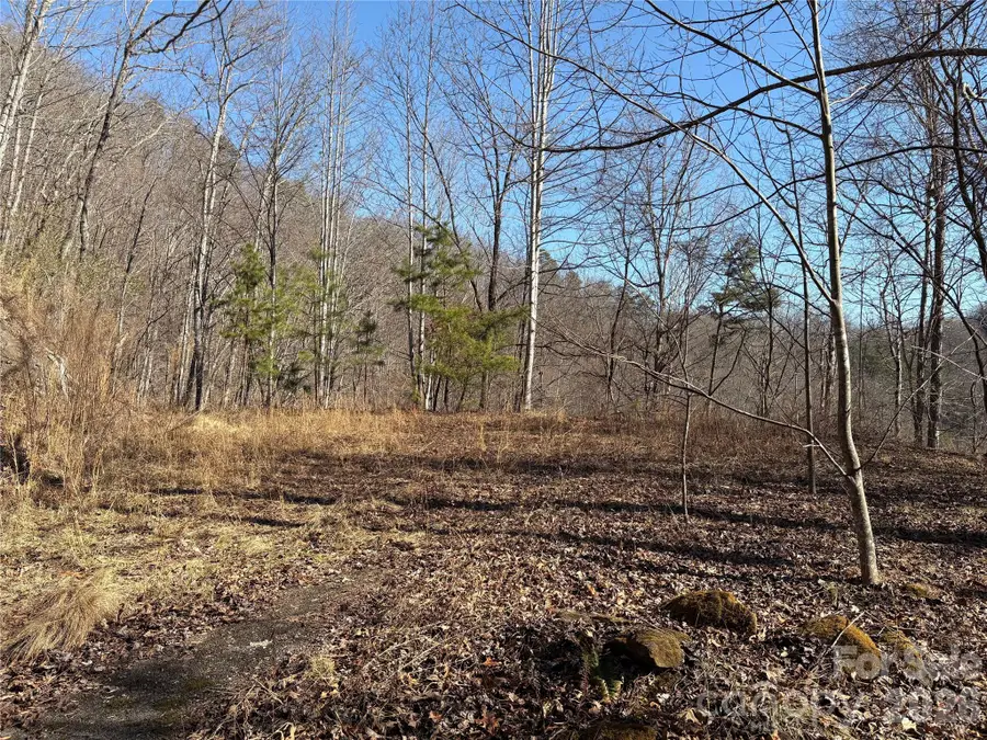 00 Brush Creek Road #37, Bryson City, NC 28713 - #2