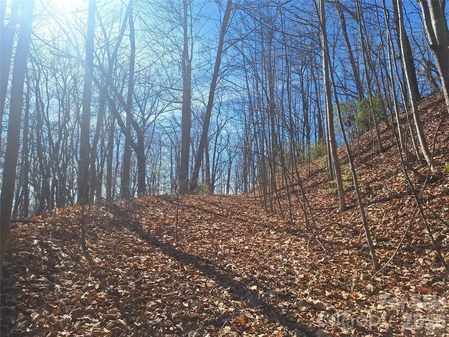 965 Wolf Pen Road, Old Fort, NC 28762 - #3