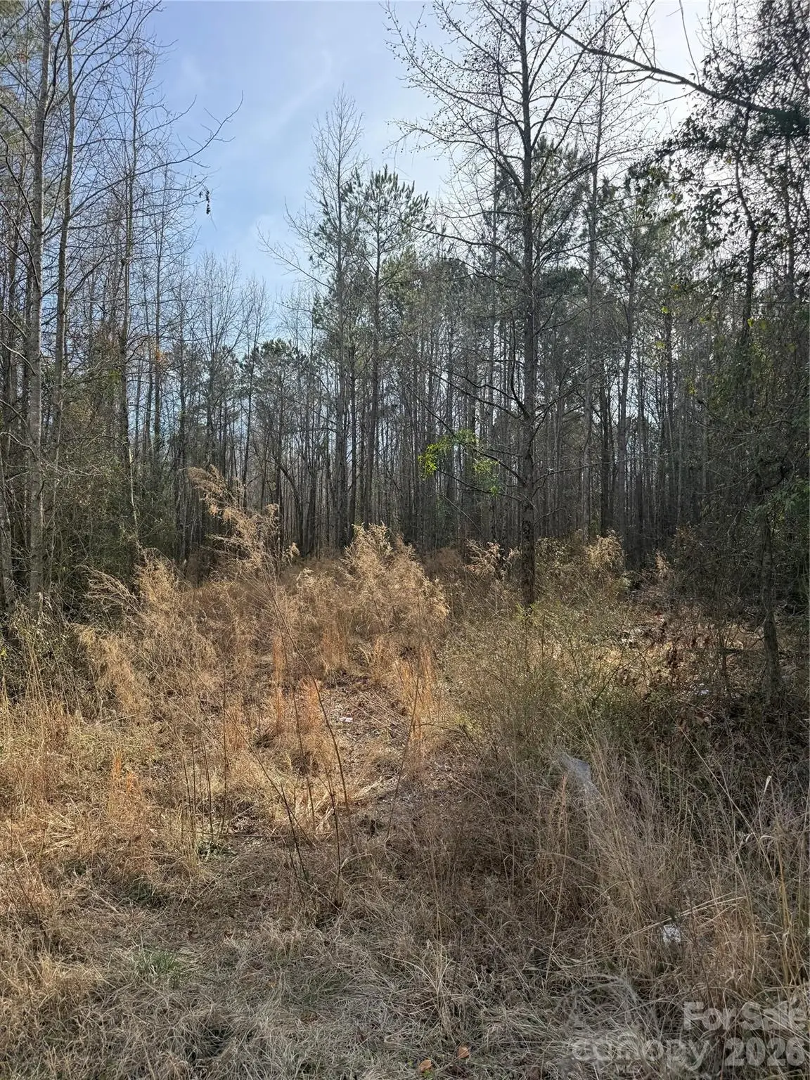 364 Longhorn Lane, Cheraw, SC 29520 - #1