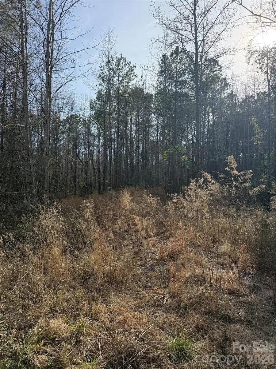 364 Longhorn Lane, Cheraw, SC 29520 - #2