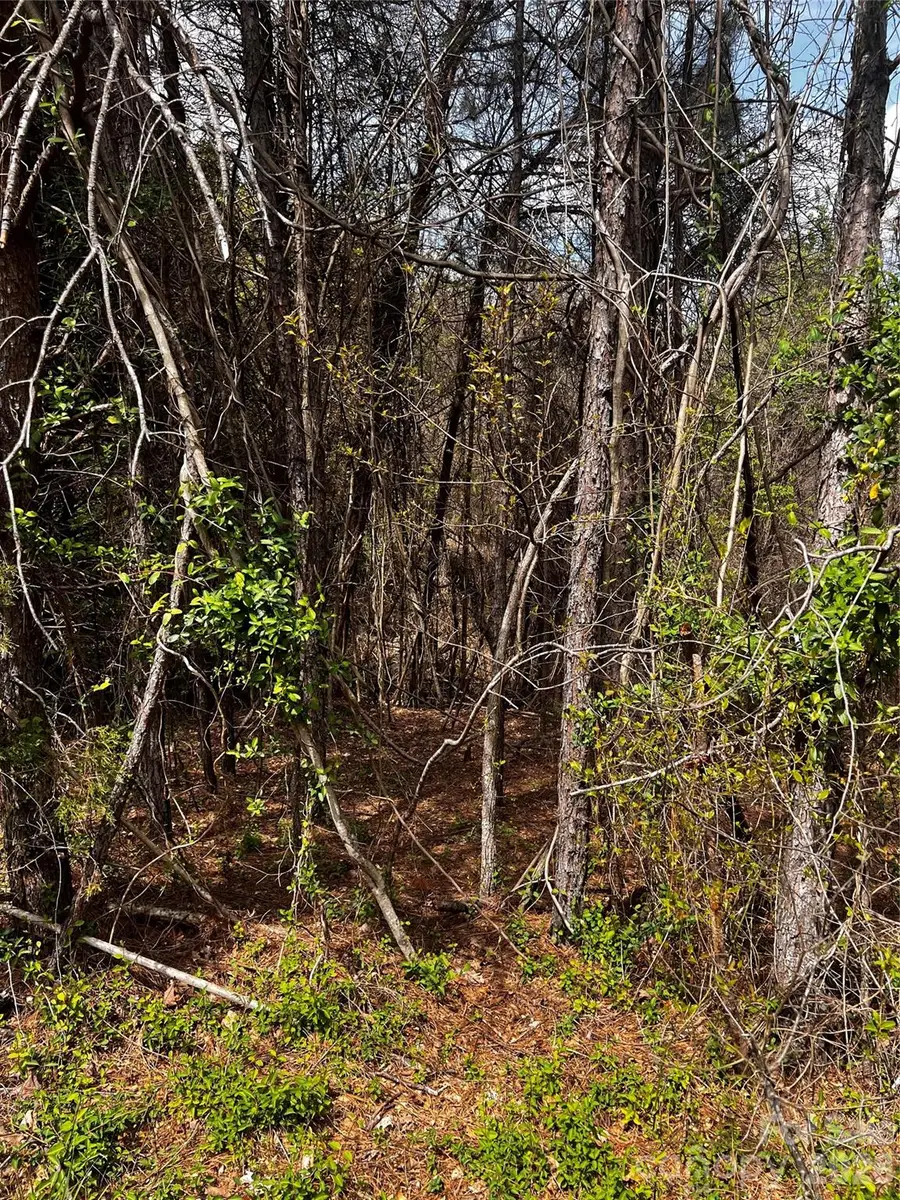 0000 Cemetery Loop, Hickory, NC 28601 - #2