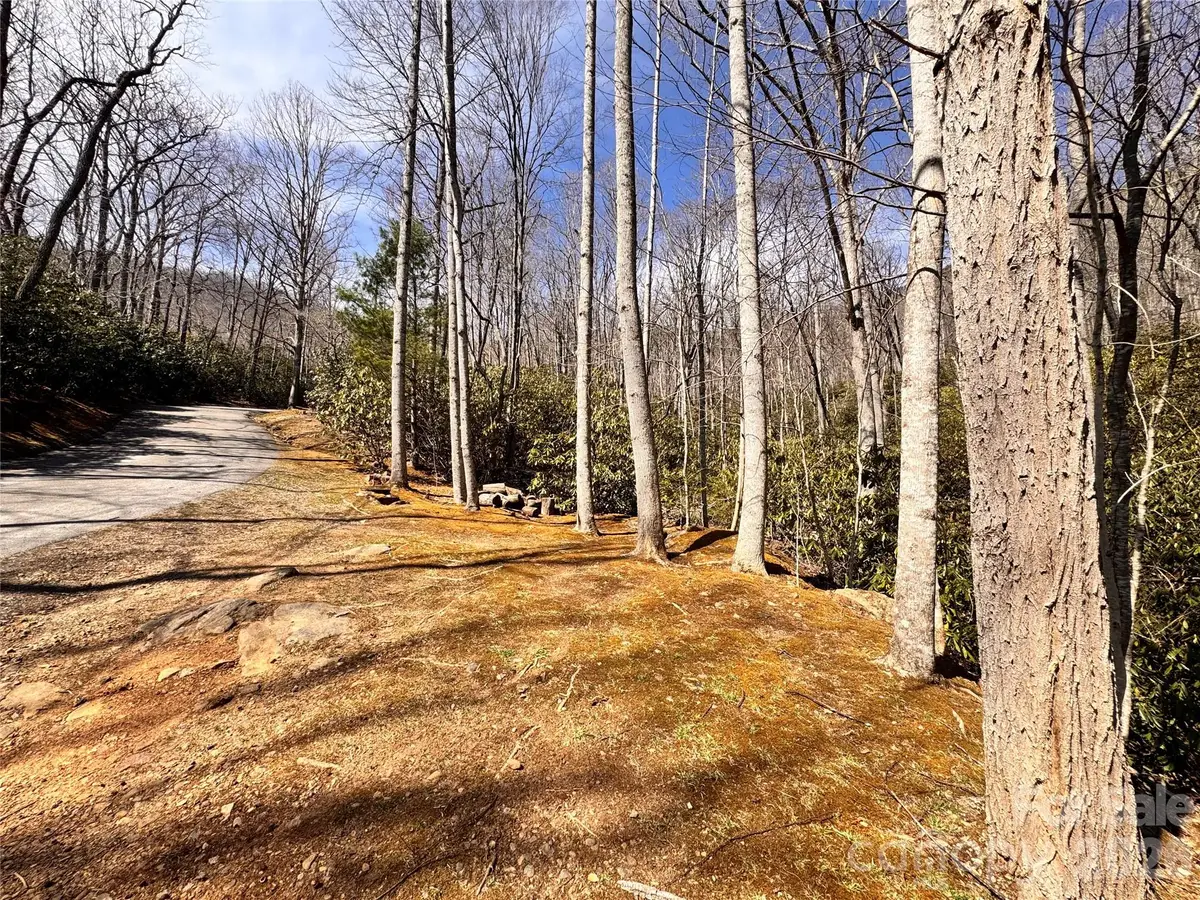 212 Harmony Lane #1142, Montreat, NC 28757 - #1