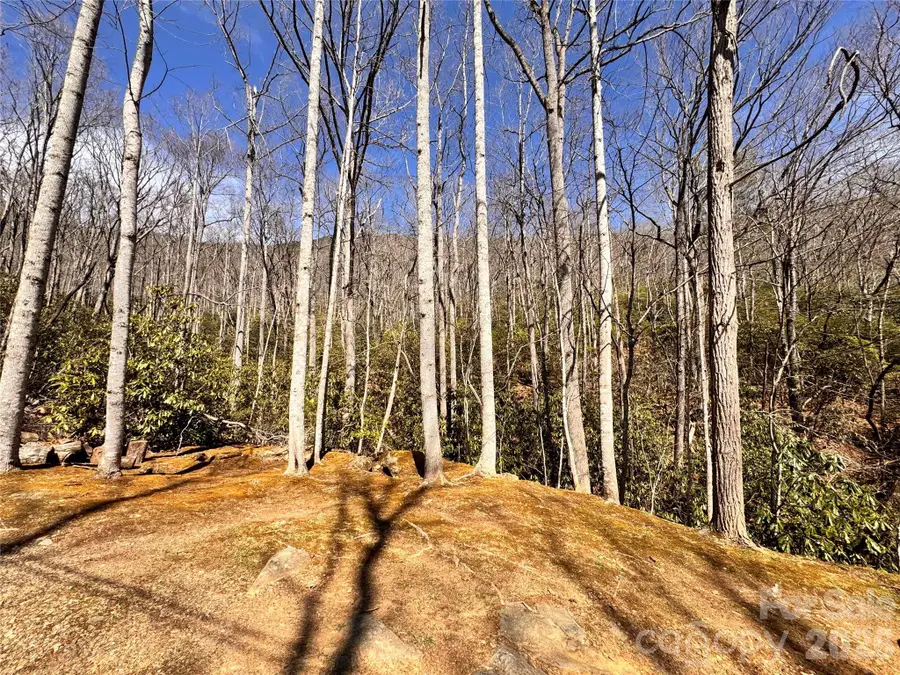 212 Harmony Lane #1142, Montreat, NC 28757 - #3